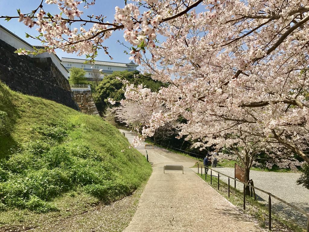 Minshuku Tairyoumaru Amakusa  Esterno foto