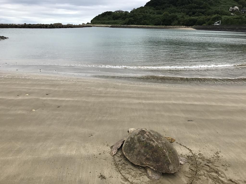 Minshuku Tairyoumaru Amakusa  Esterno foto