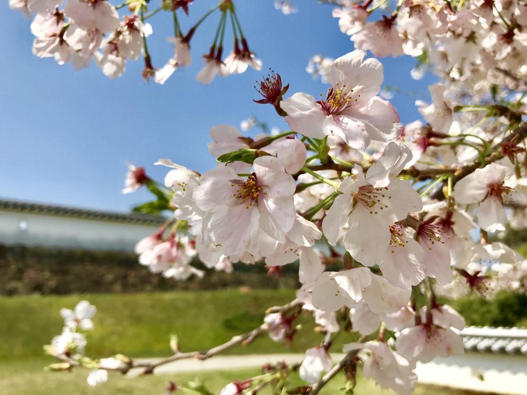 Minshuku Tairyoumaru Amakusa  Esterno foto